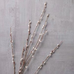 New Ashland 4 Piece P Willow Pick Stem Spray Bundle